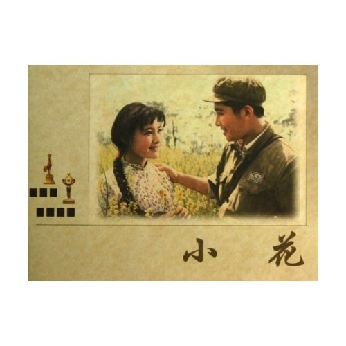 小花(中国电影金鸡百花奖获奖影片)
