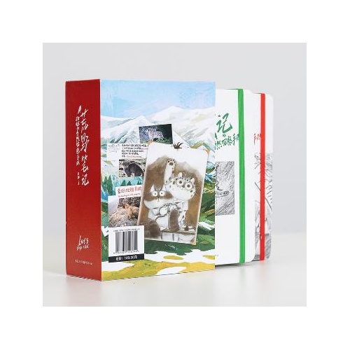 荒野笔记:扫把的自然观察手账(全2册)