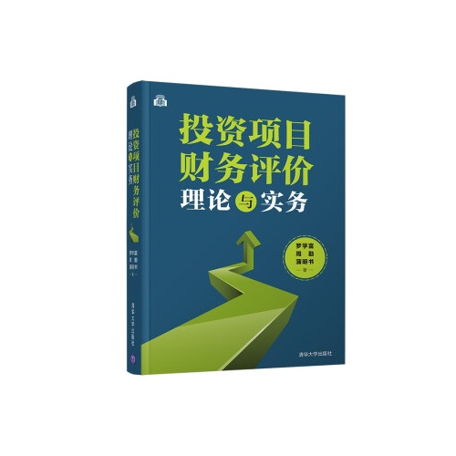 投资项目财务评价理论与实务