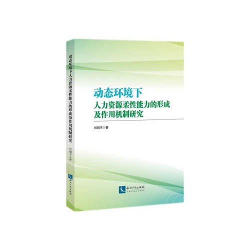 动态环境下人力资源柔性能力的形成及作用机制研究