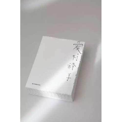 爱不释手(2015中国最美的书)