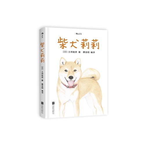 柴犬莉莉